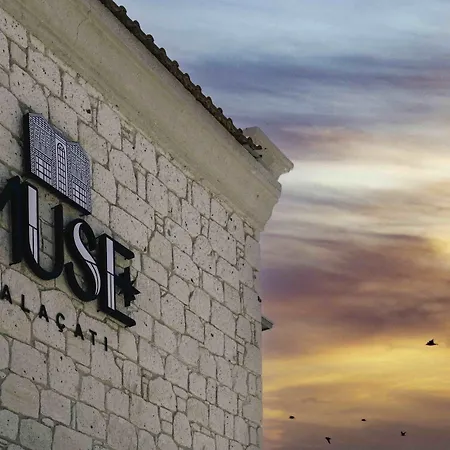 Hotel Muse *
